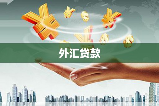 弓长岭外汇贷款
