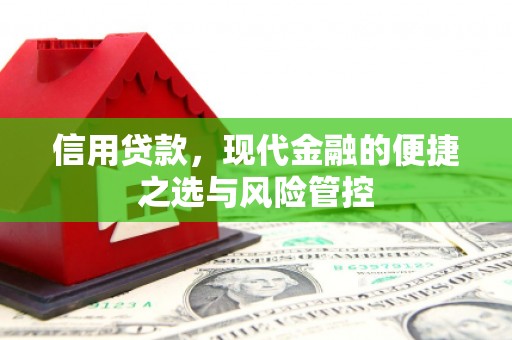 弓长岭信用贷款，现代金融的便捷之选与风险管控