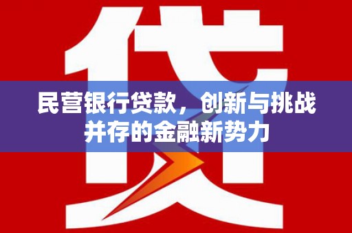 弓长岭民营银行贷款，创新与挑战并存的金融新势力