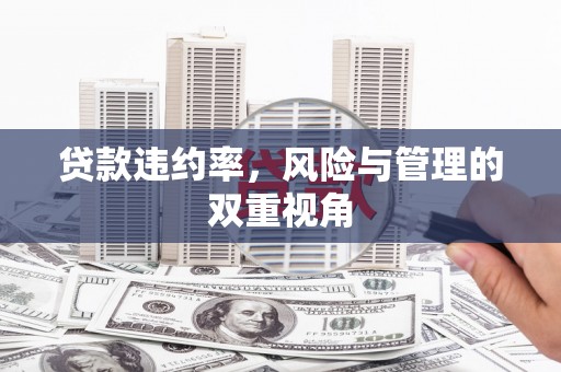 弓长岭贷款违约率，风险与管理的双重视角