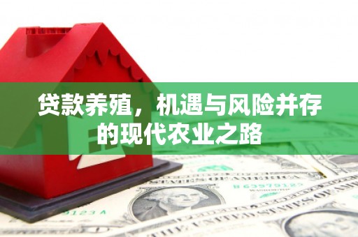 弓长岭贷款养殖，机遇与风险并存的现代农业之路