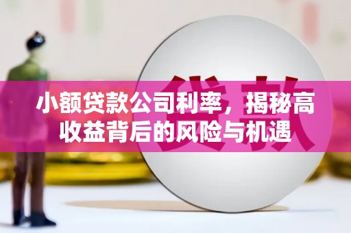 弓长岭小额贷款公司利率，揭秘高收益背后的风险与机遇