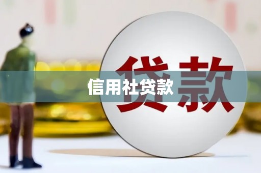 弓长岭信用社贷款