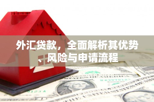 弓长岭外汇贷款，全面解析其优势、风险与申请流程