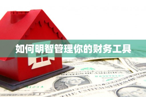 弓长岭如何明智管理你的财务工具