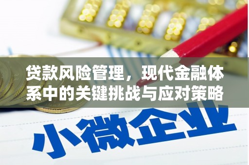 弓长岭贷款风险管理，现代金融体系中的关键挑战与应对策略