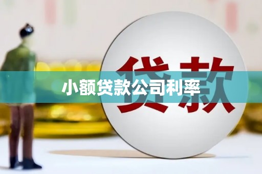 弓长岭小额贷款公司利率