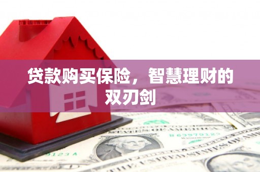 弓长岭贷款购买保险，智慧理财的双刃剑