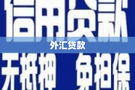 弓长岭外汇贷款