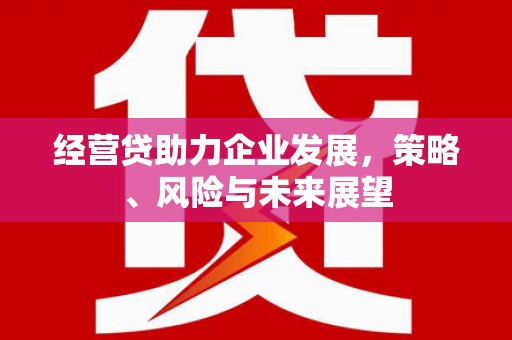 弓长岭经营贷助力企业发展，策略、风险与未来展望