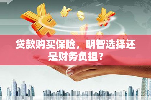 弓长岭贷款购买保险，明智选择还是财务负担？