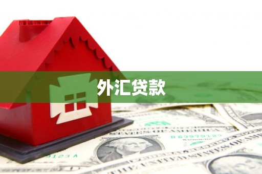 弓长岭外汇贷款