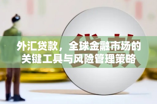 弓长岭外汇贷款，全球金融市场的关键工具与风险管理策略