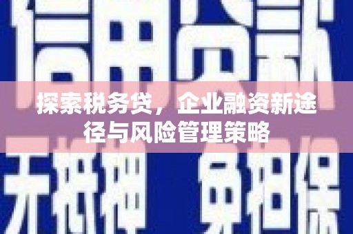 弓长岭探索税务贷，企业融资新途径与风险管理策略