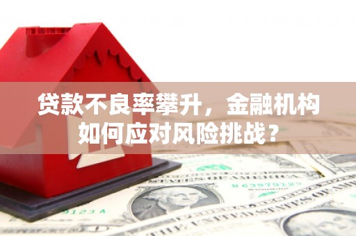 弓长岭贷款不良率攀升，金融机构如何应对风险挑战？