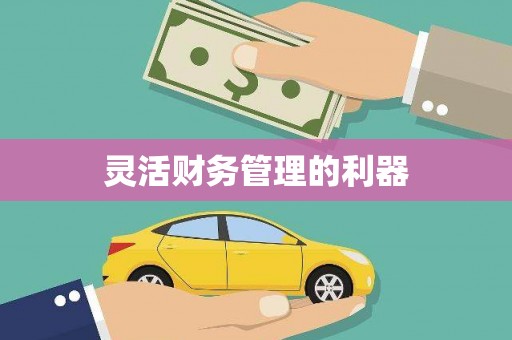 弓长岭灵活财务管理的利器