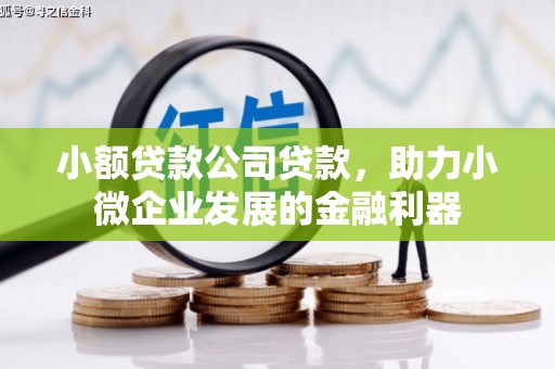 弓长岭小额贷款公司贷款，助力小微企业发展的金融利器