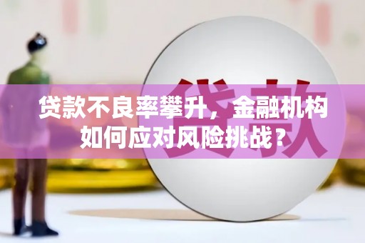 弓长岭贷款不良率攀升，金融机构如何应对风险挑战？
