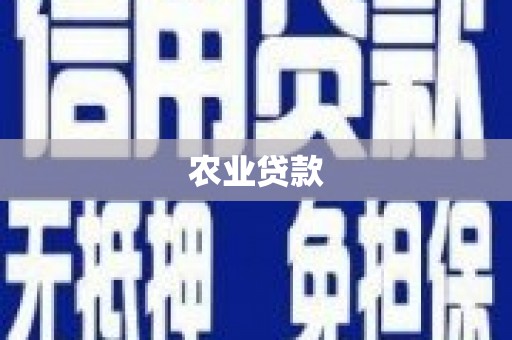 弓长岭农业贷款