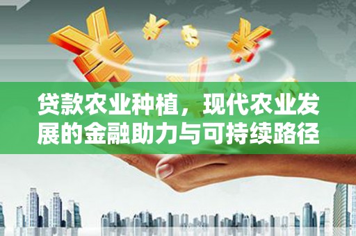 弓长岭贷款农业种植，现代农业发展的金融助力与可持续路径