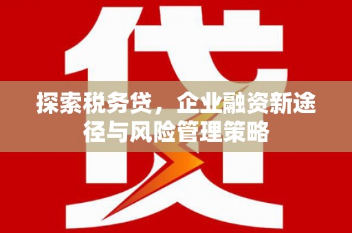 弓长岭探索税务贷，企业融资新途径与风险管理策略