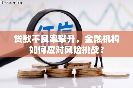 弓长岭贷款不良率攀升，金融机构如何应对风险挑战？