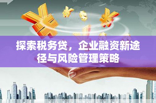 弓长岭探索税务贷，企业融资新途径与风险管理策略