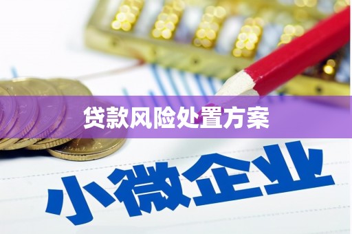 弓长岭贷款风险处置方案