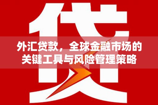 弓长岭外汇贷款，全球金融市场的关键工具与风险管理策略