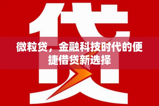 弓长岭微粒贷，金融科技时代的便捷借贷新选择