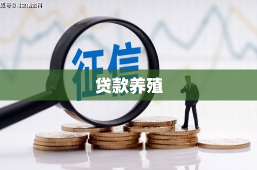 弓长岭贷款养殖
