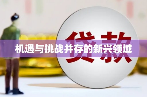 弓长岭机遇与挑战并存的新兴领域