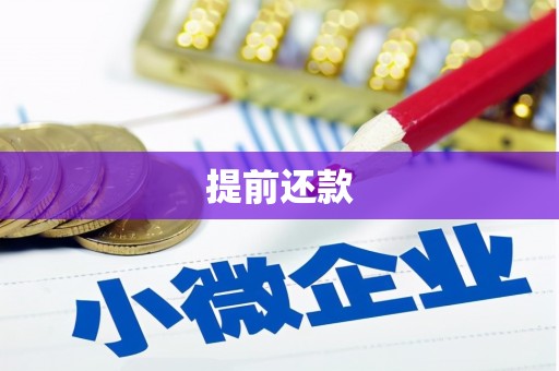 弓长岭提前还款