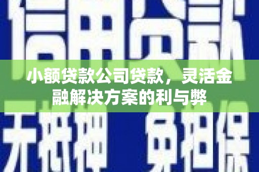 弓长岭小额贷款公司贷款，灵活金融解决方案的利与弊